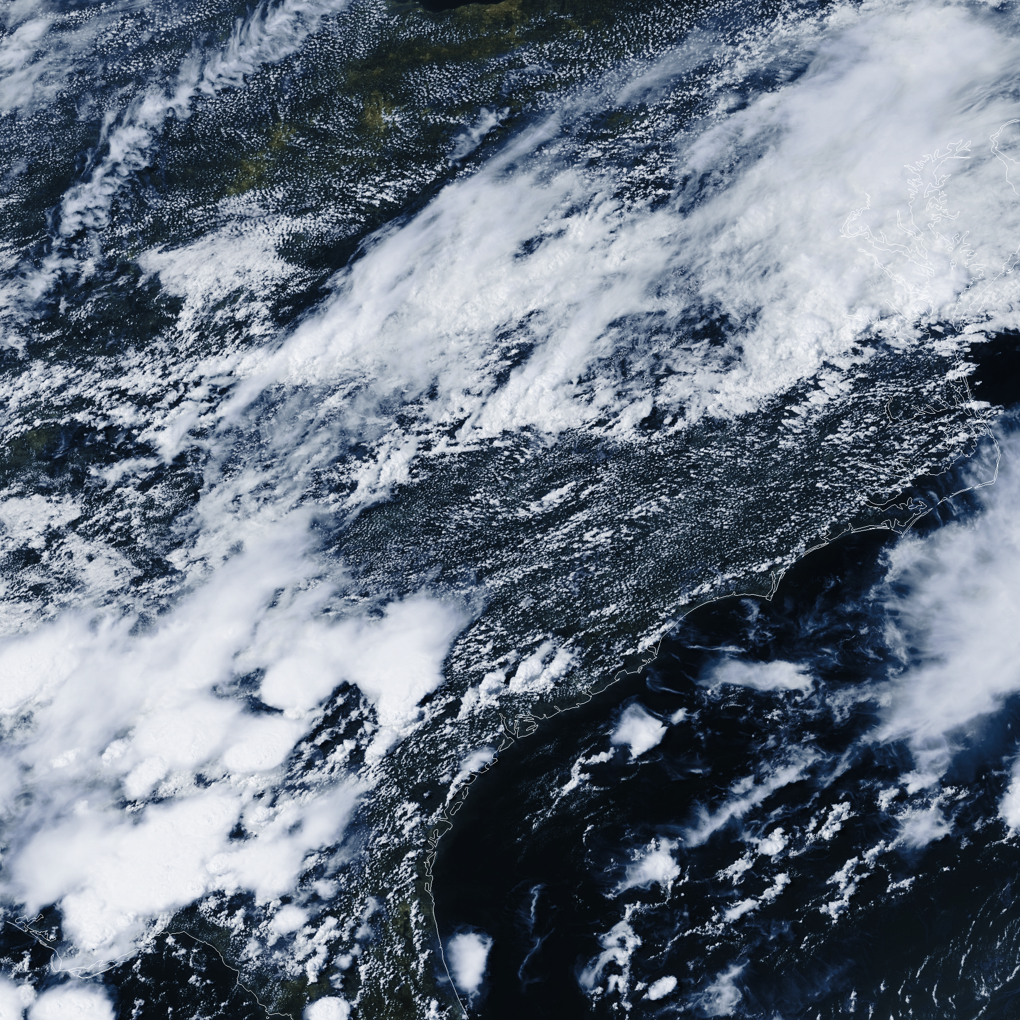 Florida false colour